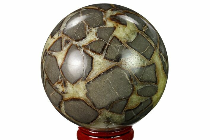2.5" Polished Septarian Sphere - Utah